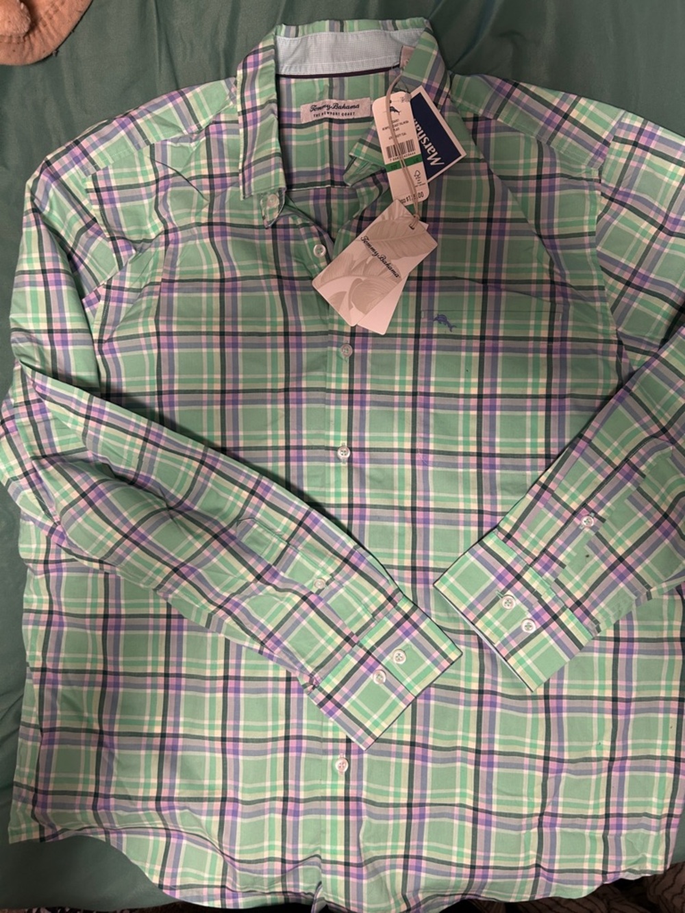 Sperry Men's Mint Green Plaid Button-Down Shirt with Purple Stripes